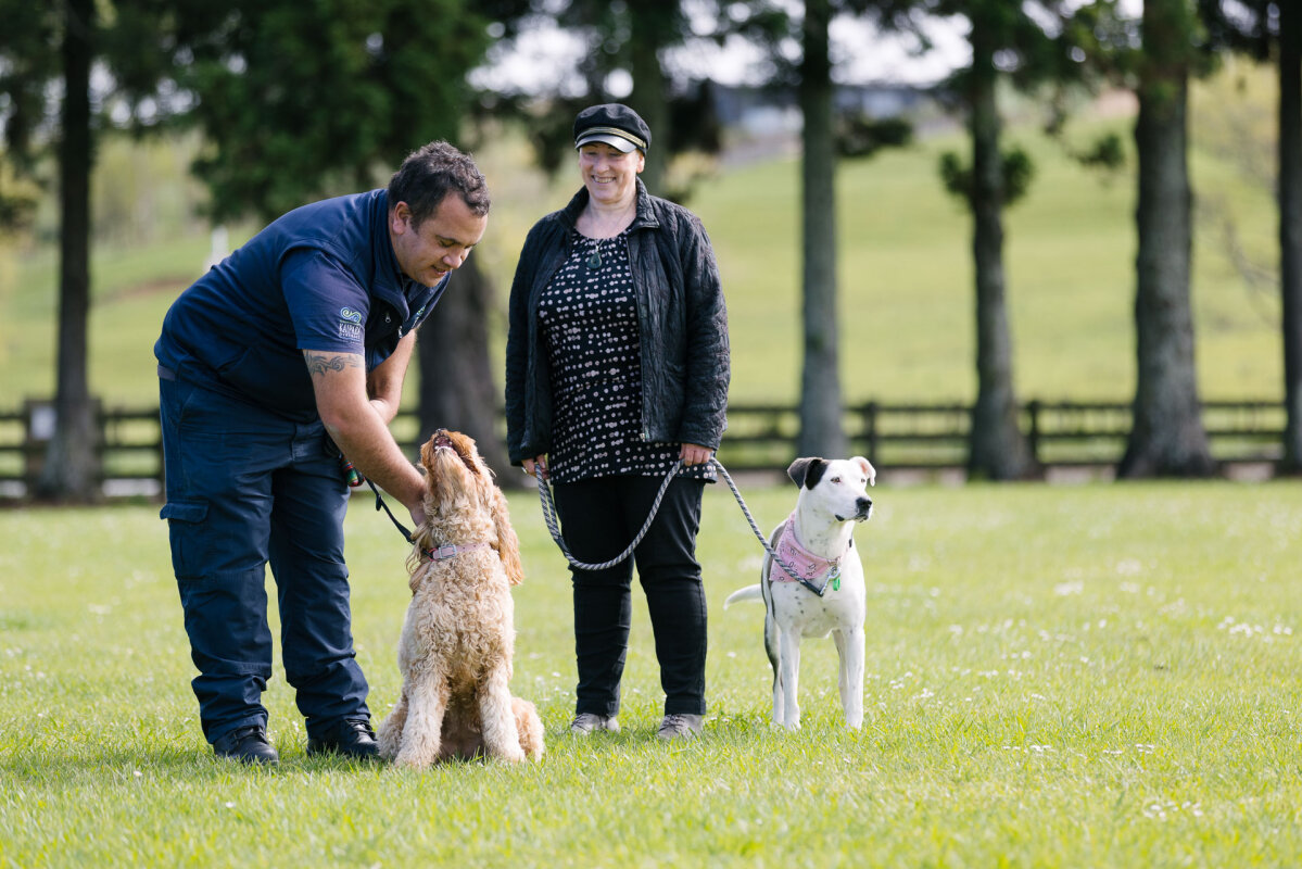 Taking care of Kaipara this Easter